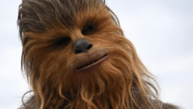 Daily Quiz | On Star Wars