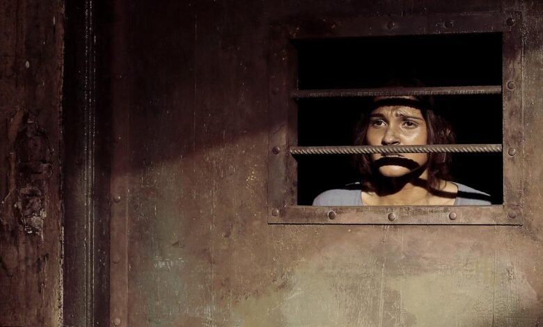 How can CBFC deny censor certificate to Manushi without specifying objectionable scenes, asks Madras High Court