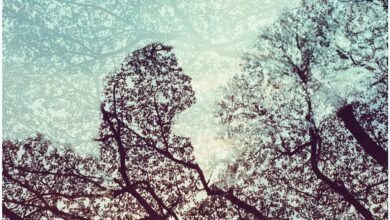 This photography movement has disavowed AI 