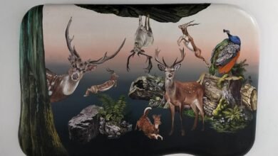 Satadru Sovan Banduri’s solo show in Hyderabad focuses on biodiversity facing existential threat