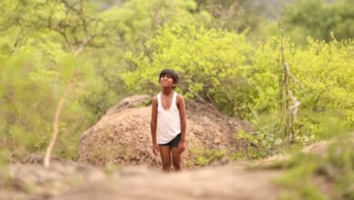 ‘Paranthu Po’ movie review: A gentle reflection on escaping the grind